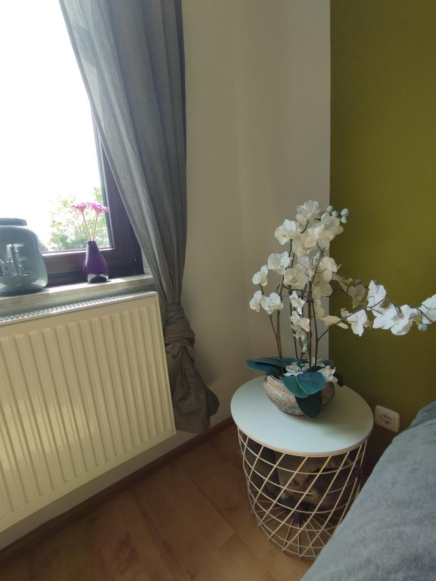 Sunny Side Apartment Kiel Luaran gambar